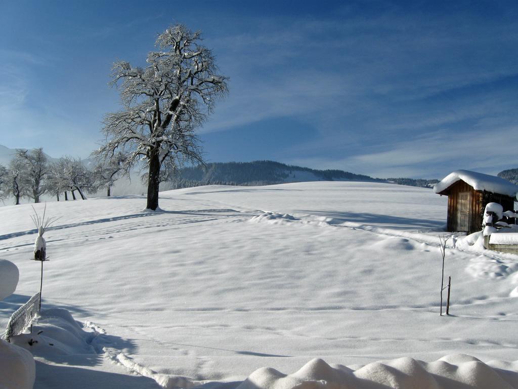 Ferienhof Schweizer Schwarzenberg im Bregenzerwald Exterior foto