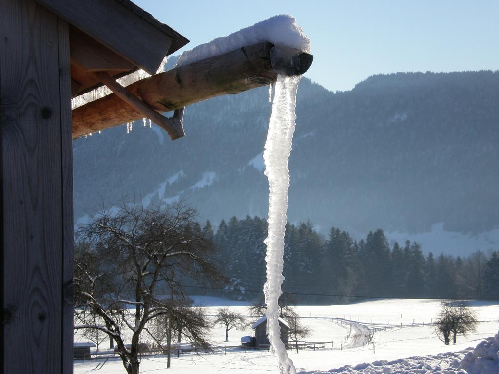 Ferienhof Schweizer Schwarzenberg im Bregenzerwald Exterior foto