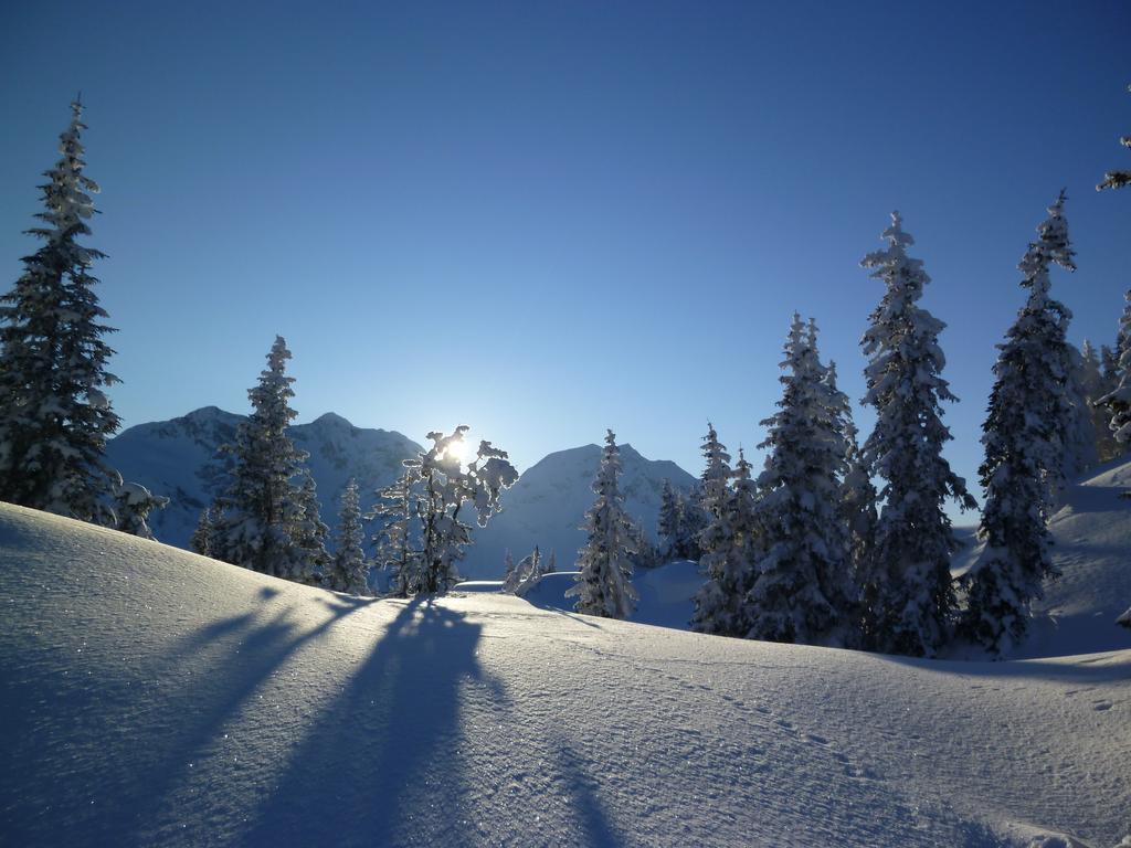 Ferienhof Schweizer Schwarzenberg im Bregenzerwald Exterior foto
