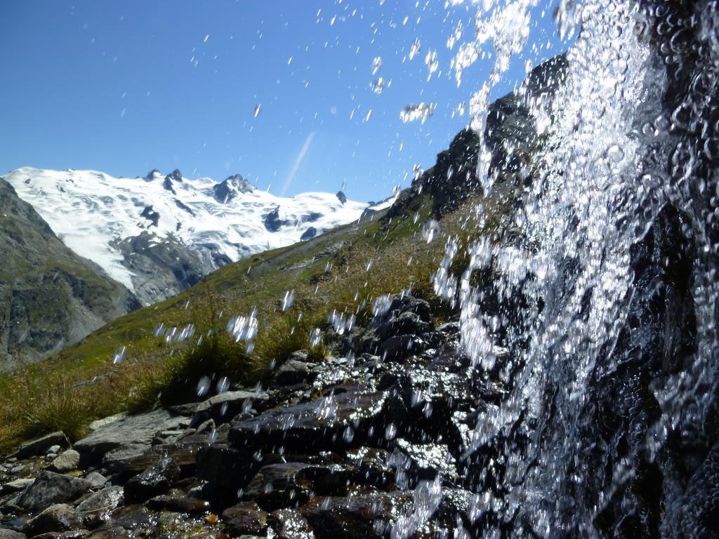 Ferienhof Schweizer Schwarzenberg im Bregenzerwald Exterior foto
