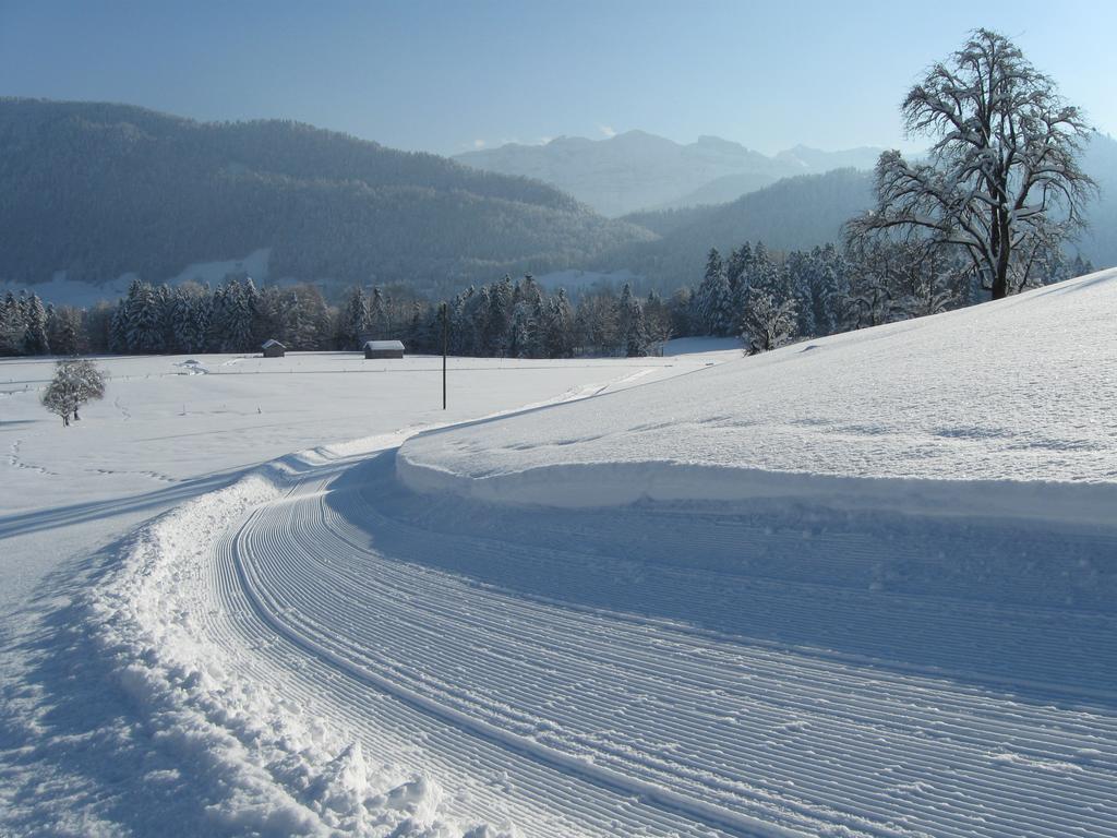 Ferienhof Schweizer Schwarzenberg im Bregenzerwald Exterior foto